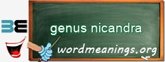 WordMeaning blackboard for genus nicandra